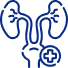 Urologia